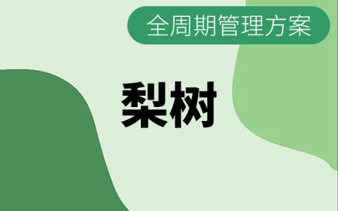 梨树全生长周期施肥与打药管理方案
