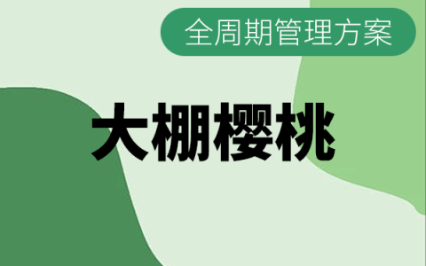 大棚樱桃（设施）全生长周期施肥与打药管理方案