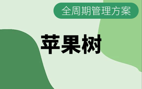 苹果树全生长周期施肥与打药管理方案